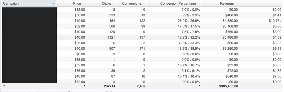 Campaign Result