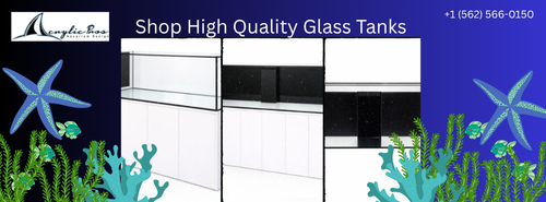 Shop High Quality Glass Tanks.png