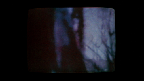 vlcsnap 00001.png
