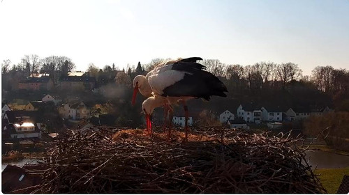 MWSnap287.jpg
