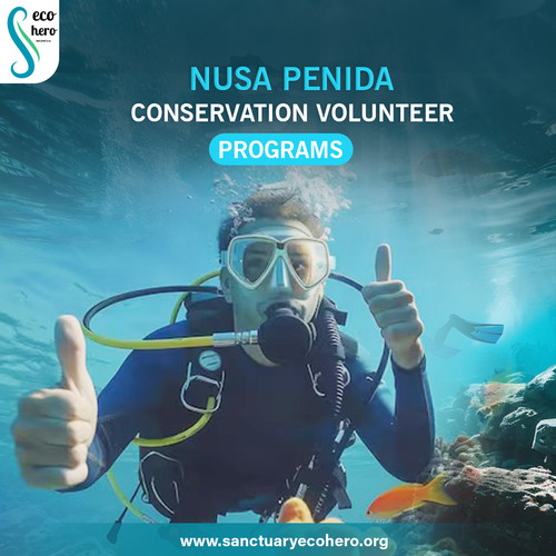Nusa Penida conservation volunteer programs.jpg