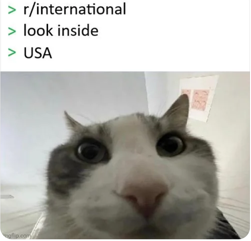 07a97cf0 64b2 4662 968b 66fedff1037f ReverseSearchImage.png