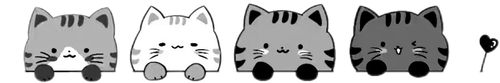 IMG 5136.png