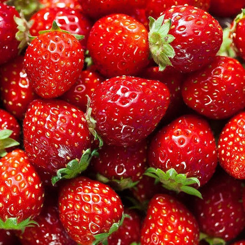 product 1770908193519.jpg