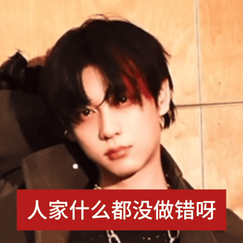 IMG 4675.gif