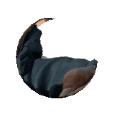 3dgifmaker62887.gif