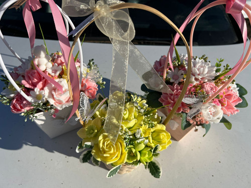 WhatsApp Image 2026 02 12 at 15.40.19.jpg