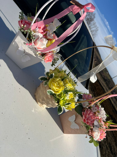 WhatsApp Image 2026 02 12 at 15.40.19 (7).jpg