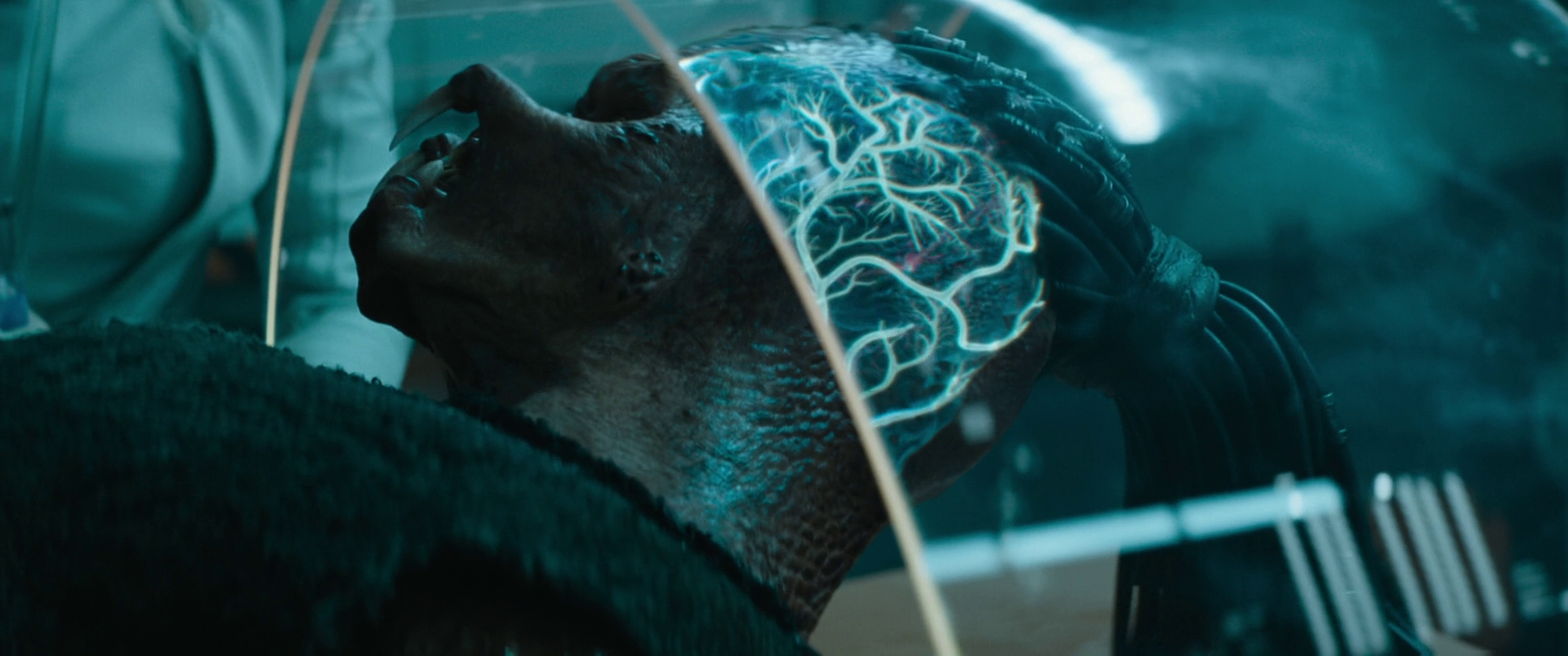 vlcsnap 2026 02 12 16h27m08s705