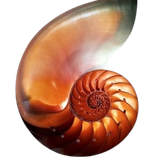 image 2026 02 12 173550850.png