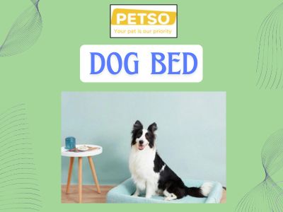 Soft and Supportive Beds for Dogs.jpg