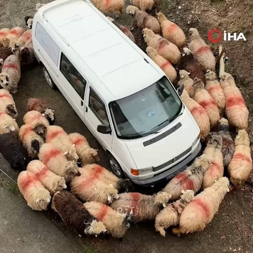 VwOCcpC6d8fkwO8C.jpg