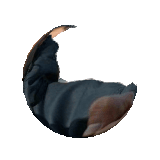 3dgifmaker43193.gif