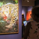 IMG 2709