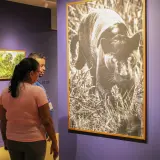 IMG 2713