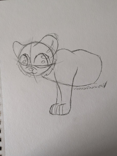 PXL 20260211 214013241.jpg