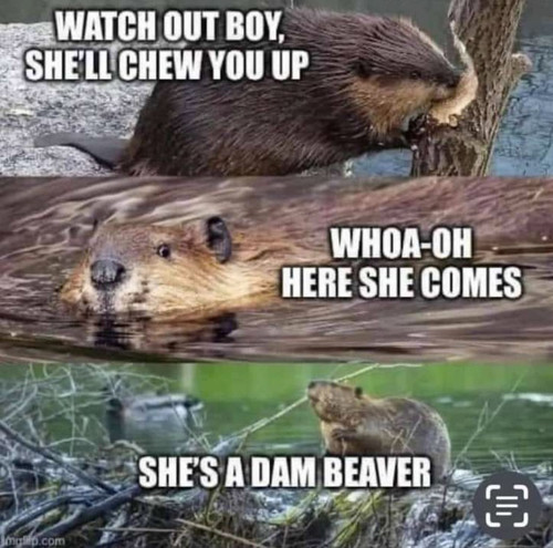 beaver Song.jpg
