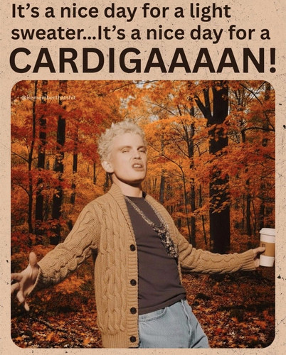 Idol Cardigan.jpg