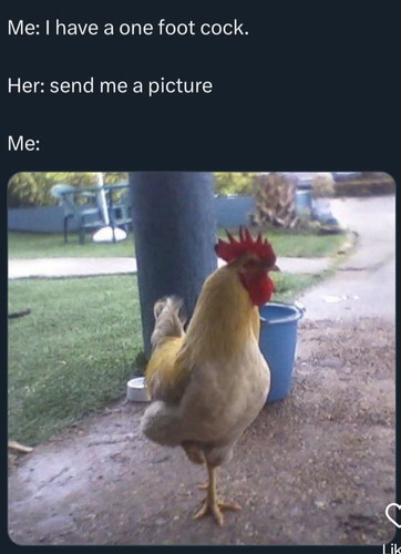 One Foot.jpg