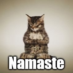 namaste cat.jpg
