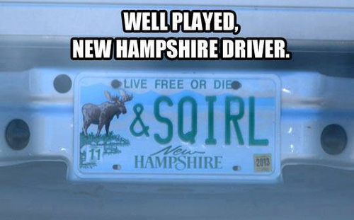 Moose and Squirrel.png