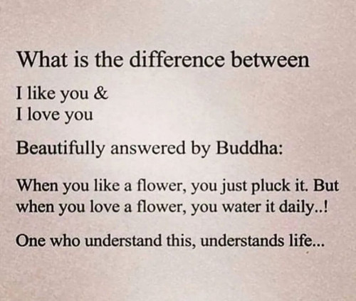 Budda Flower.jpg