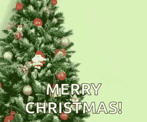 cat christmas flying xmas cat.gif