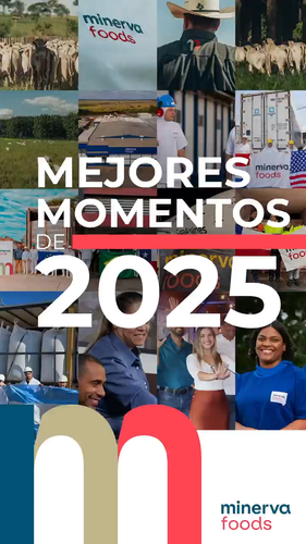 video capture t0000.00seg 9070.png