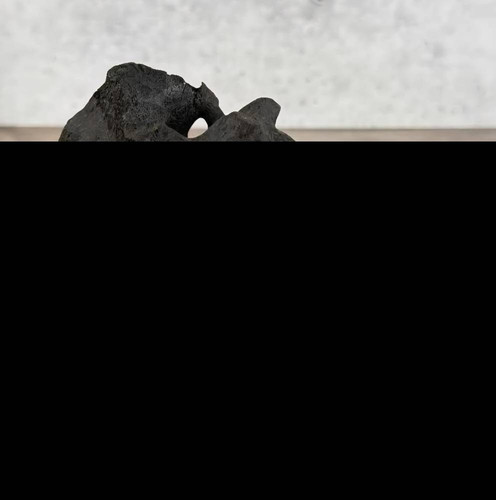 933bfa6deba1.jpg