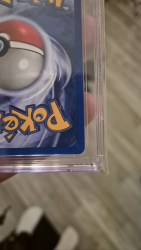 1000105926.jpg