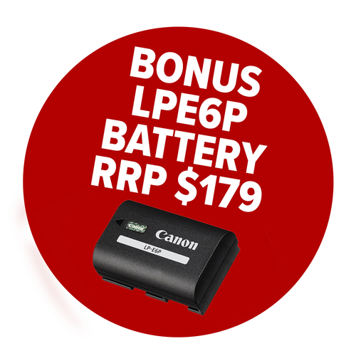 BONUS BATTERY PNG .png