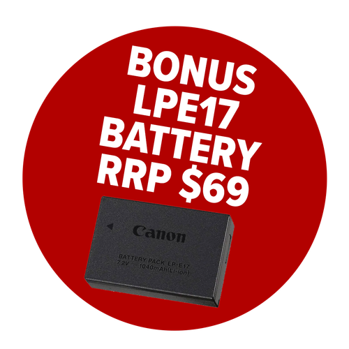 bonus battery lpe17.png