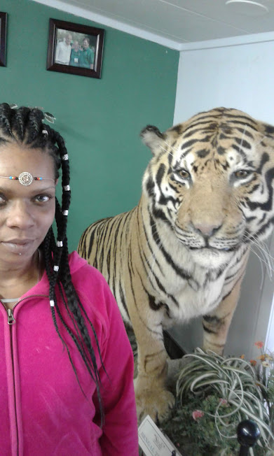 TIGER LUCRECTIA.jpg