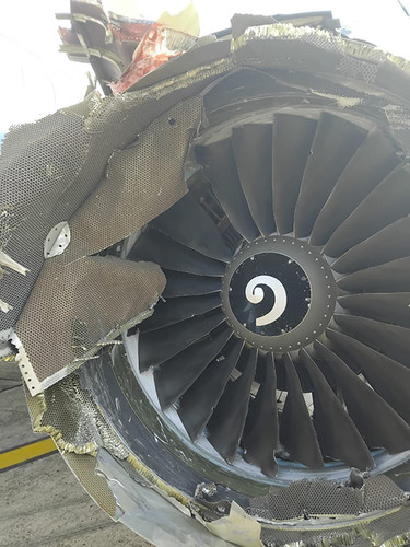 631050894 1274957434686988 8555725652421551957 n.jpg