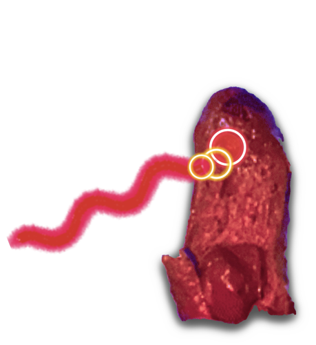 GodsGalaxyCollegeForSpecies.png