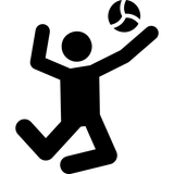 volleyball Black
