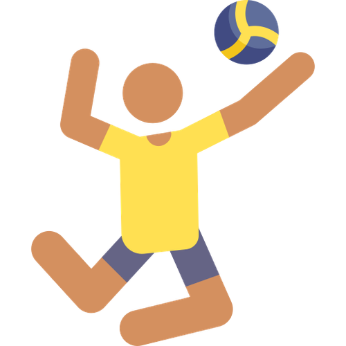 volleyball.png