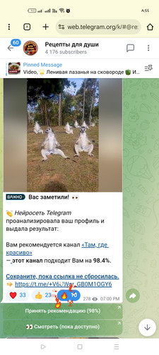 Screenshot ٢٠٢٦ ٠٢ ١٢ ٠٨ ٤٤ ٥٠ ٢٨ 40deb401b9ffe8e1df2f1cc5ba480b12.jpg