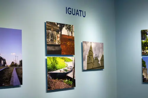  MG 9360.webp