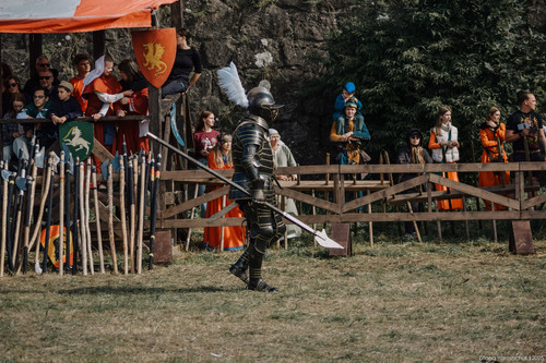 Evgeny Strzhalkovsky knight 3.jpg