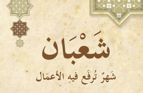 HA5aBh bsAA5 vn.jpg