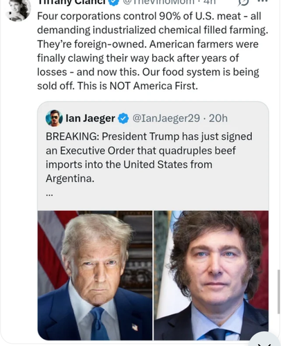 9a9d4449 8106 4762 8f11 19f065b38271 ReverseSearchImage.png