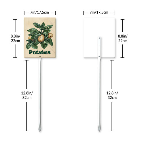 Potatoes20240607 001 7.jpg