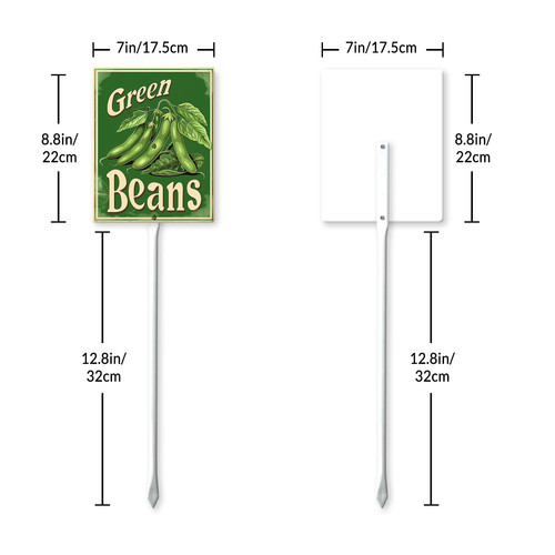 green beans20240607 001 7.jpg