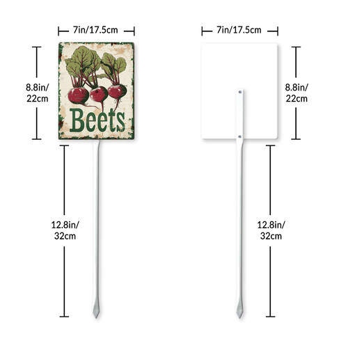 Beets20240607 001 7.jpg