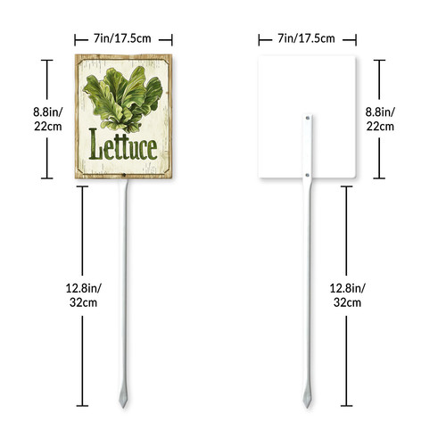 Lettuce20240607 001 7.jpg