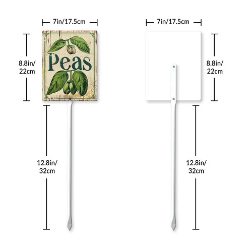 peas20240607 001 7.jpg