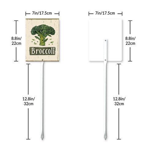 Broccoli20240607 001 7.jpg