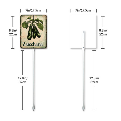 zucchini20240607 001 7.jpg