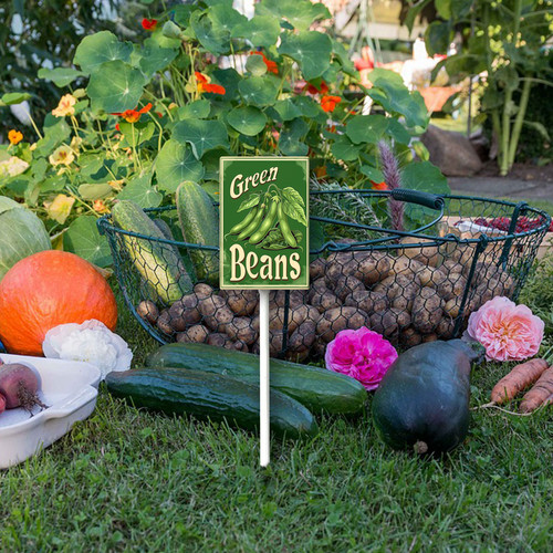 green beans20240607 001 4.jpg